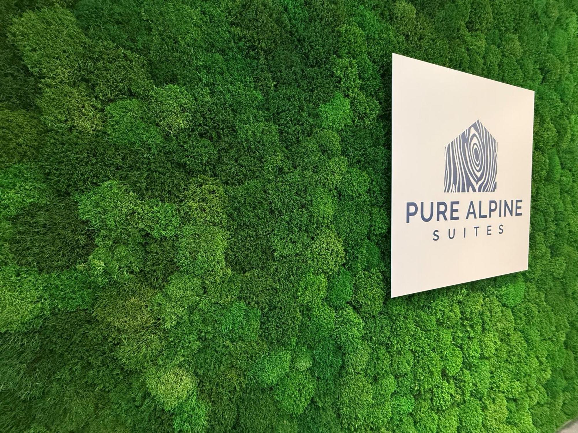 Pure Alpine Suites Шладмінг Екстер'єр фото